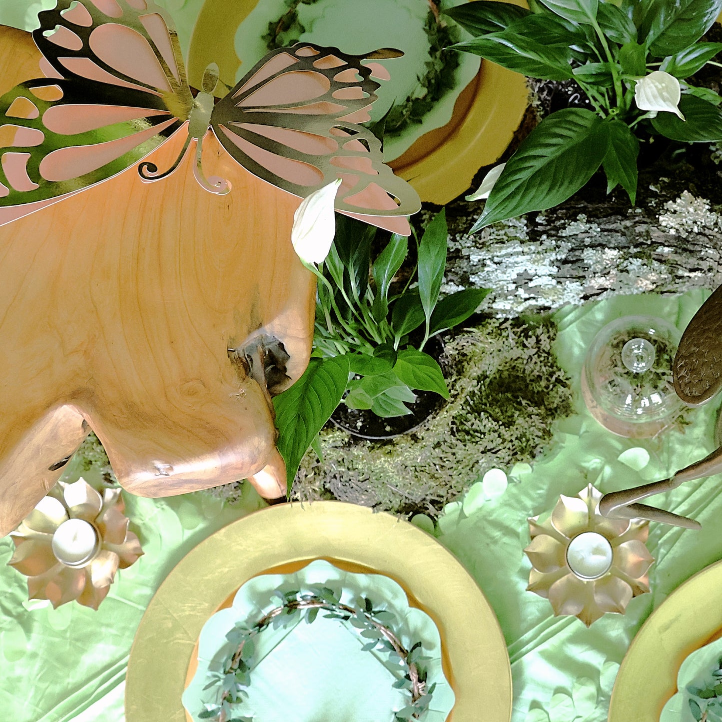 3A4A1678-fotor-2024071116711.jpg__PID:e0af7539-2659-4243-b469-319d45c7094d