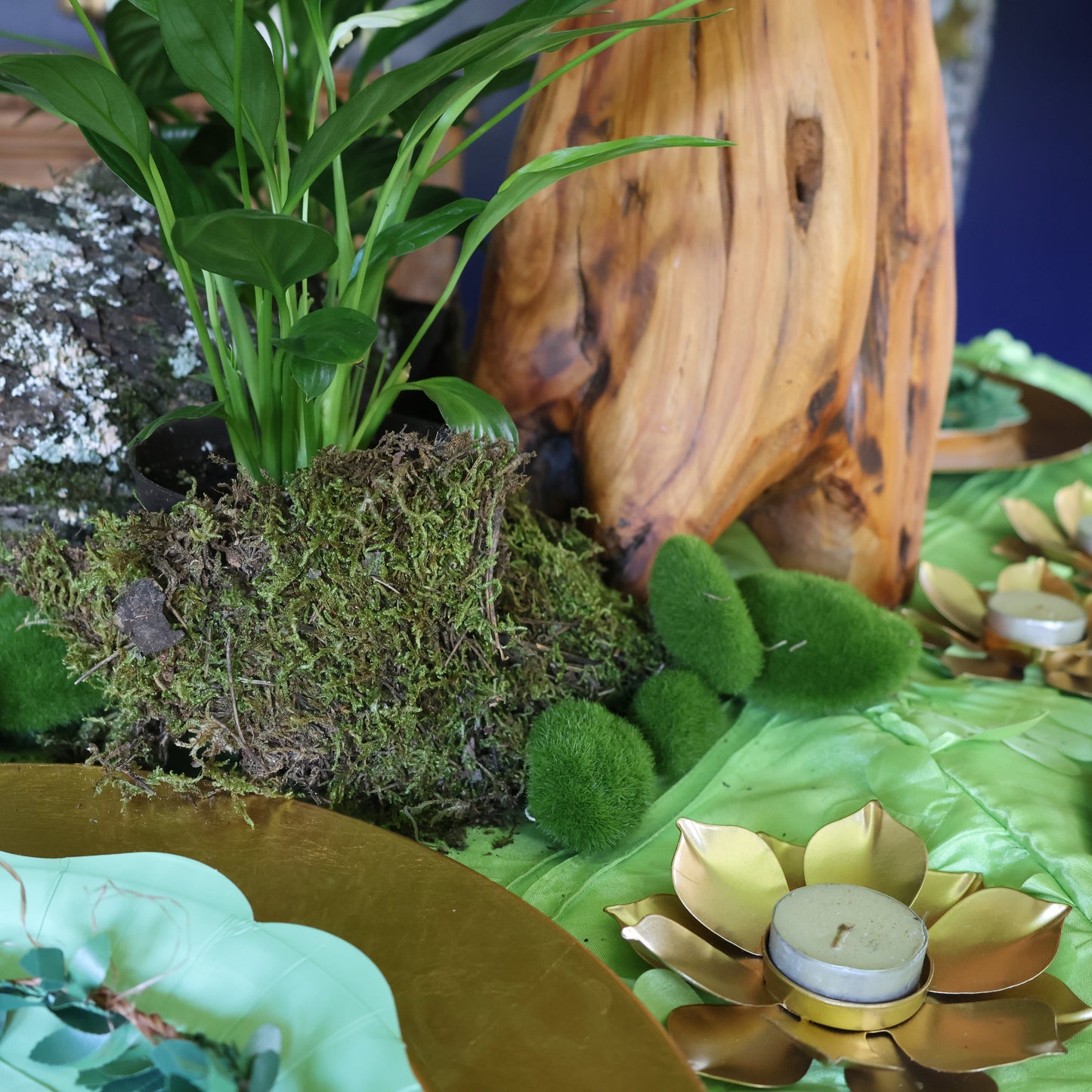Bayou Bliss Tabletop Collection