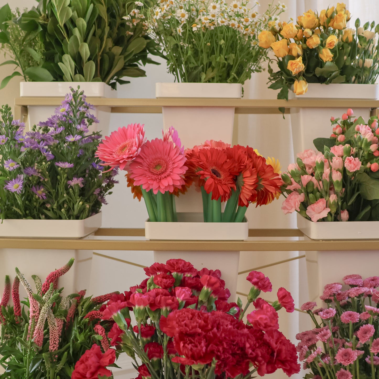 Flower Display