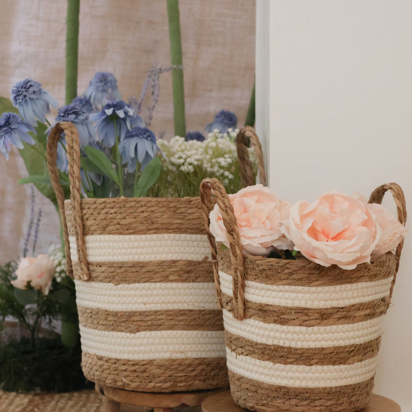 Flower Shop Collection