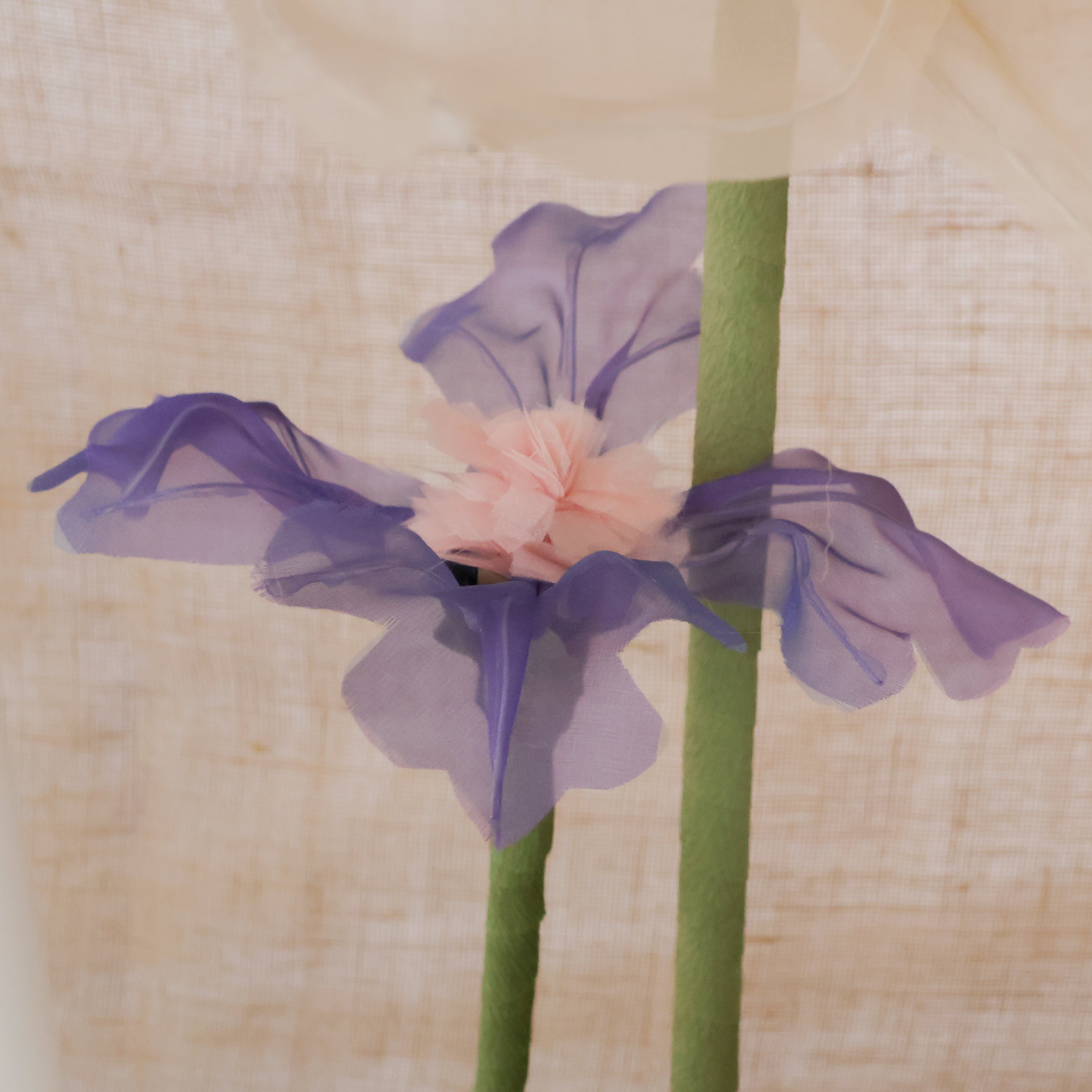 Flower Rops Backdrops and Props – Merriment Supply Co.