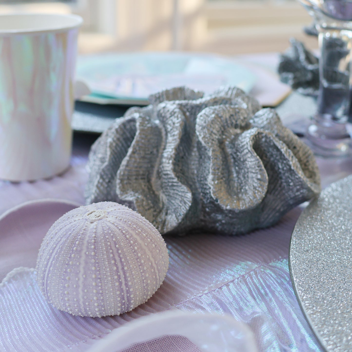 Magical Mermaids Collection