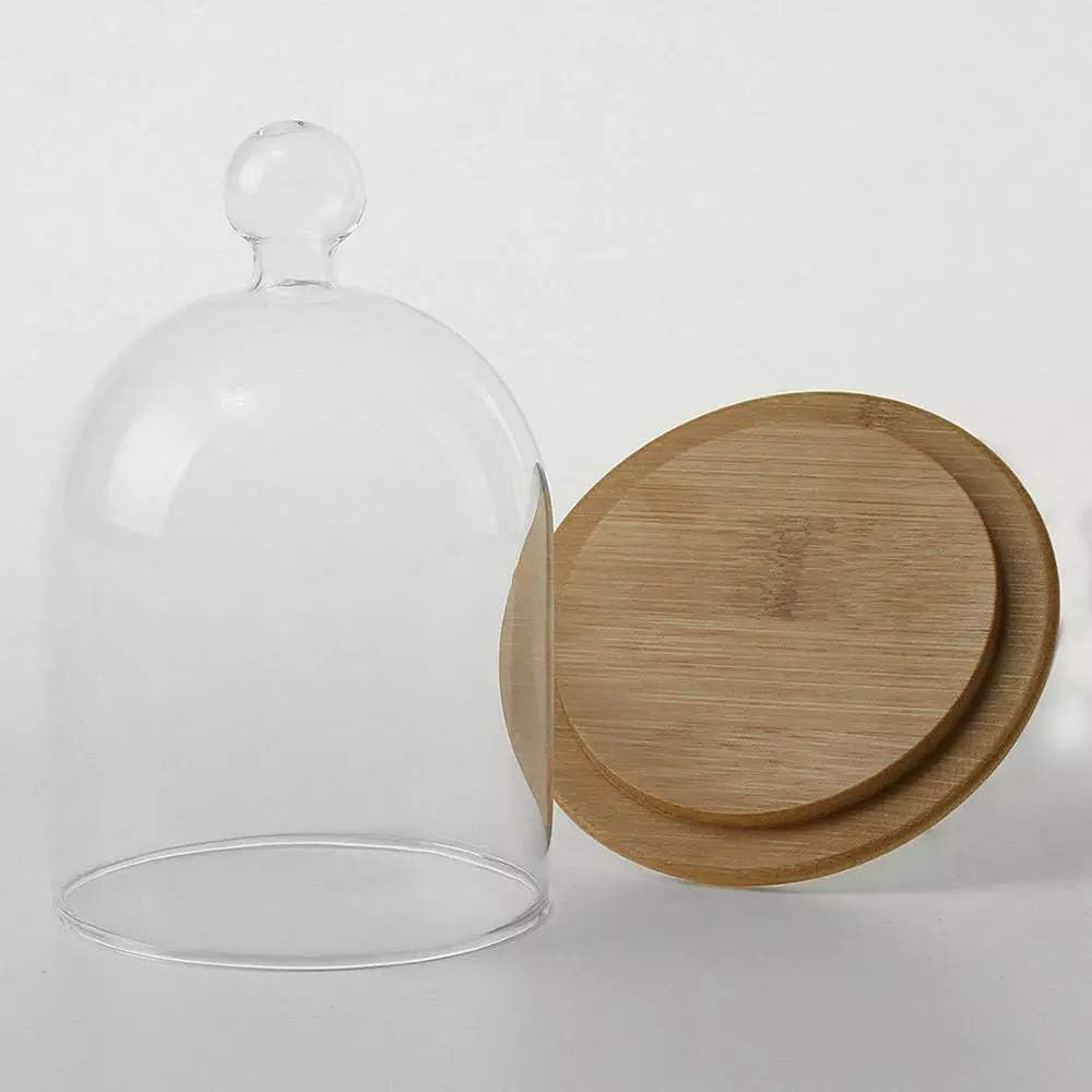 Glass Bell Cloche