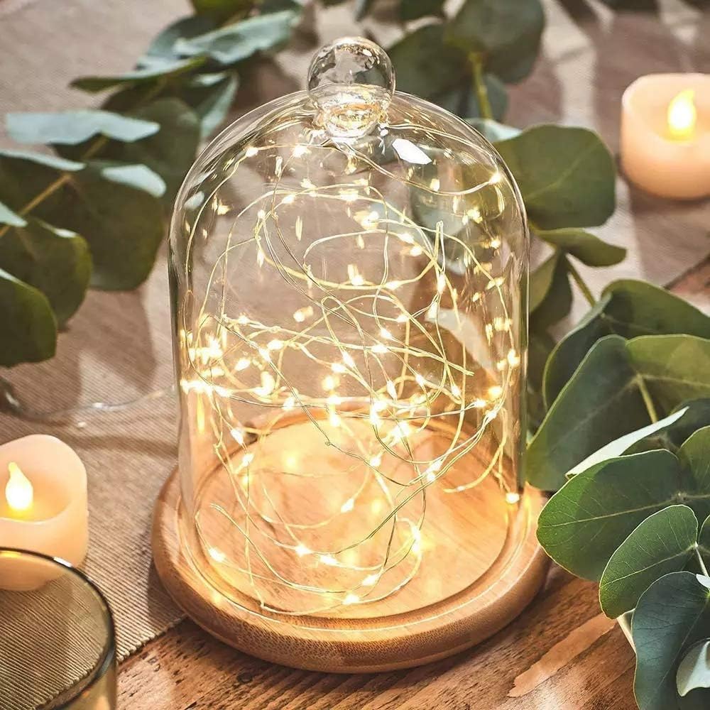 Glass Bell Cloche