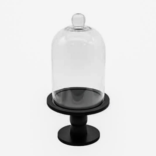 Glass Cloche on Pedestal